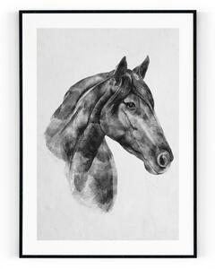 Plakát / Obraz Kůň Pololesklý saténový papír A4 - 21 x 29,7 cm