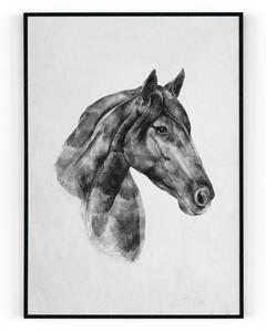 Plakát / Obraz Kůň 50 x 70 cm Pololesklý saténový papír