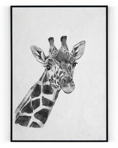 Plakát / Obraz Žirafa Tiskové plátno A4 - 21 x 29,7 cm