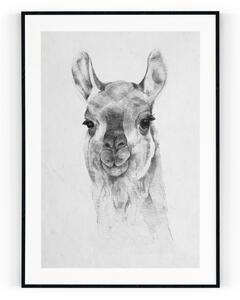 Plakát / Obraz Lama Pololesklý saténový papír A4 - 21 x 29,7 cm