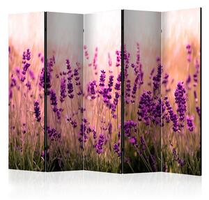 Paraván - Lavender in the Rain II [Room Dividers]