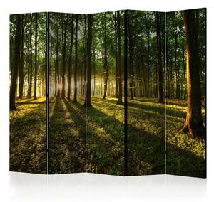 Paraván - Morning in the Forest II [Room Dividers]