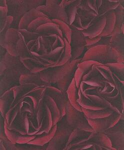 Rasch Vliesová tapeta na zeď 525625, 0,53 x 10,05 m, rudé růže