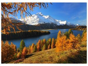 Obraz - Podzim v Alpách (70x50 cm)