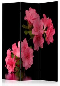 Paraván - Azalea in Black [Room Dividers]