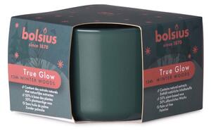 Bolsius True Glow Vonná svíčka ve skle, 90x63mm, Winterwoods