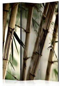 Paraván - Fog and bamboo forest [Room Dividers]