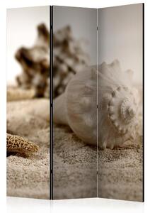 Paraván - Beach and shell [Room Dividers]