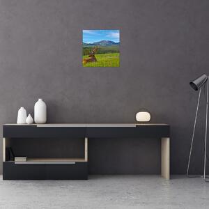 Obraz - Jelen v louce (30x30 cm)