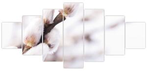 Obraz - Větev kočičky (210x100 cm)