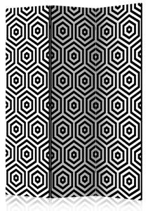 Paraván - Black and White Hypnosis [Room Dividers]
