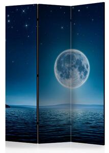 Paraván - Moonlit night [Room Dividers]