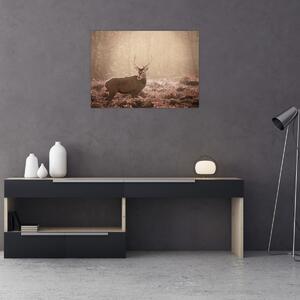 Obraz - Jelen v lese (70x50 cm)