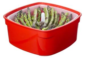 Sistema Napařovací krabička na zeleninu a ryby Microwave steamer 2,4 l, červená