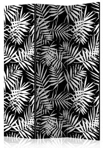Paraván - Black and White Jungle [Room Dividers]