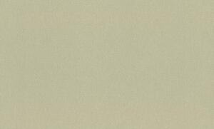 RASCH | Vliesová tapeta na zeď Novella XL 983562 | 1,06 x 10,05 m | zelená, bílá