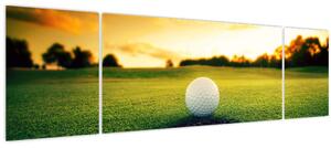 Obraz - Golf (170x50 cm)