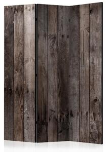 Paraván - Boards with Nails [Room Dividers]