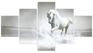 Obraz - Bílý kůň (125x70 cm)