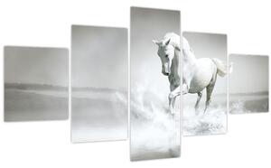 Obraz - Bílý kůň (125x70 cm)