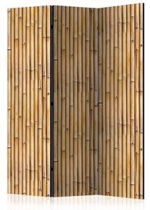 Paraván - Amazonian Wall [Room Dividers]