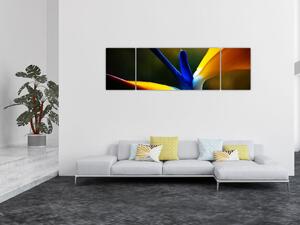 Obraz - Exotický květ (170x50 cm)