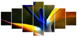 Obraz - Exotický květ (210x100 cm)