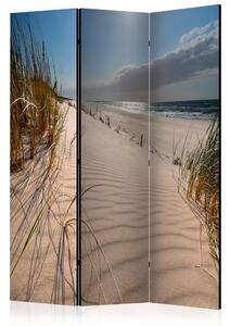 Paraván - Beach in Mrzezyno [Room Dividers]