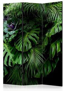 Paraván - Rainforest [Room Dividers]