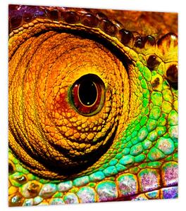 Obraz - Chameleon (30x30 cm)