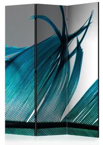 Paraván - Turquoise Feather [Room Dividers]