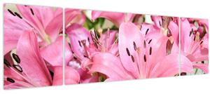 Obraz - Růžové lilie (170x50 cm)