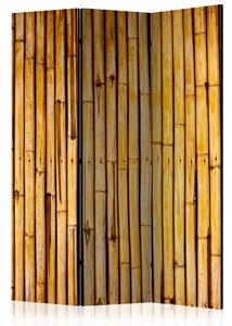 Paraván - Bamboo Garden [Room Dividers]