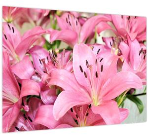 Obraz - Růžové lilie (70x50 cm)