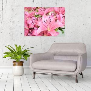 Obraz - Růžové lilie (70x50 cm)