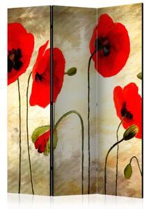 Paraván - Golden Field of Poppies [Room Dividers]