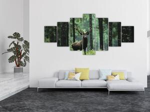 Obraz - Jelen v hlubokém lese (210x100 cm)