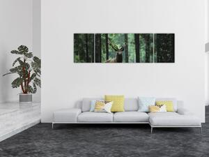 Obraz - Jelen v hlubokém lese (170x50 cm)