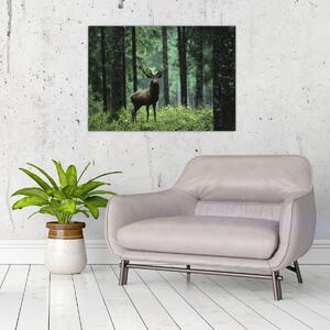 Obraz - Jelen v hlubokém lese (70x50 cm)