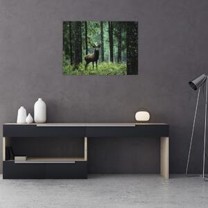 Obraz - Jelen v hlubokém lese (70x50 cm)