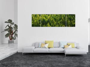 Obraz - Hustý les (170x50 cm)