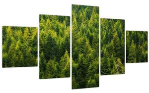 Obraz - Hustý les (125x70 cm)