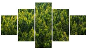 Obraz - Hustý les (125x70 cm)