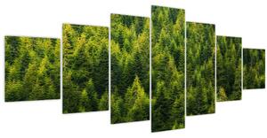 Obraz - Hustý les (210x100 cm)