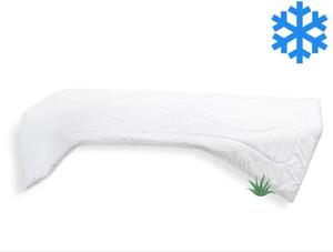 Brotex přikrývka Aloe Vera 140x200cm zimní 1300g
