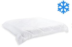 Brotex Přikrývka Thermo 240x220cm zimní 3170 g (600g / m2)
