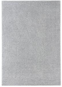 Breno Kusový koberec DOLCE VITA 01/SSS, 80x150 cm, Šedá
