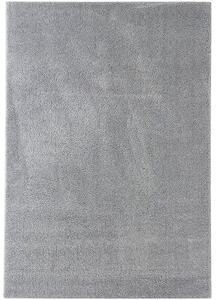 Breno Kusový koberec DOLCE VITA 01/SSS, 120x170 cm, Šedá