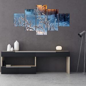 Obraz - Zimní louka (125x70 cm)