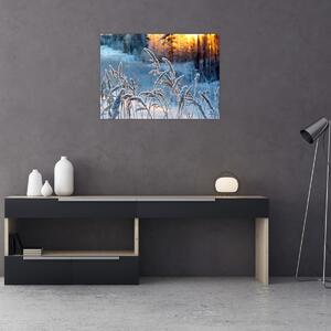 Obraz - Zimní louka (70x50 cm)